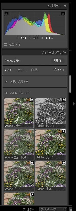 Adobe Lightroom 現像モジュール