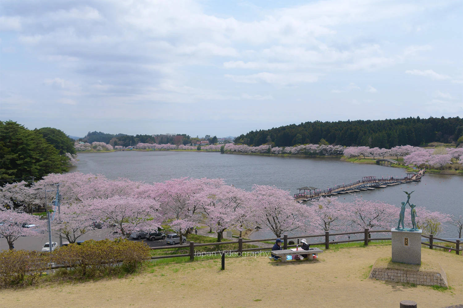 宮城県登米市平筒沼の桜