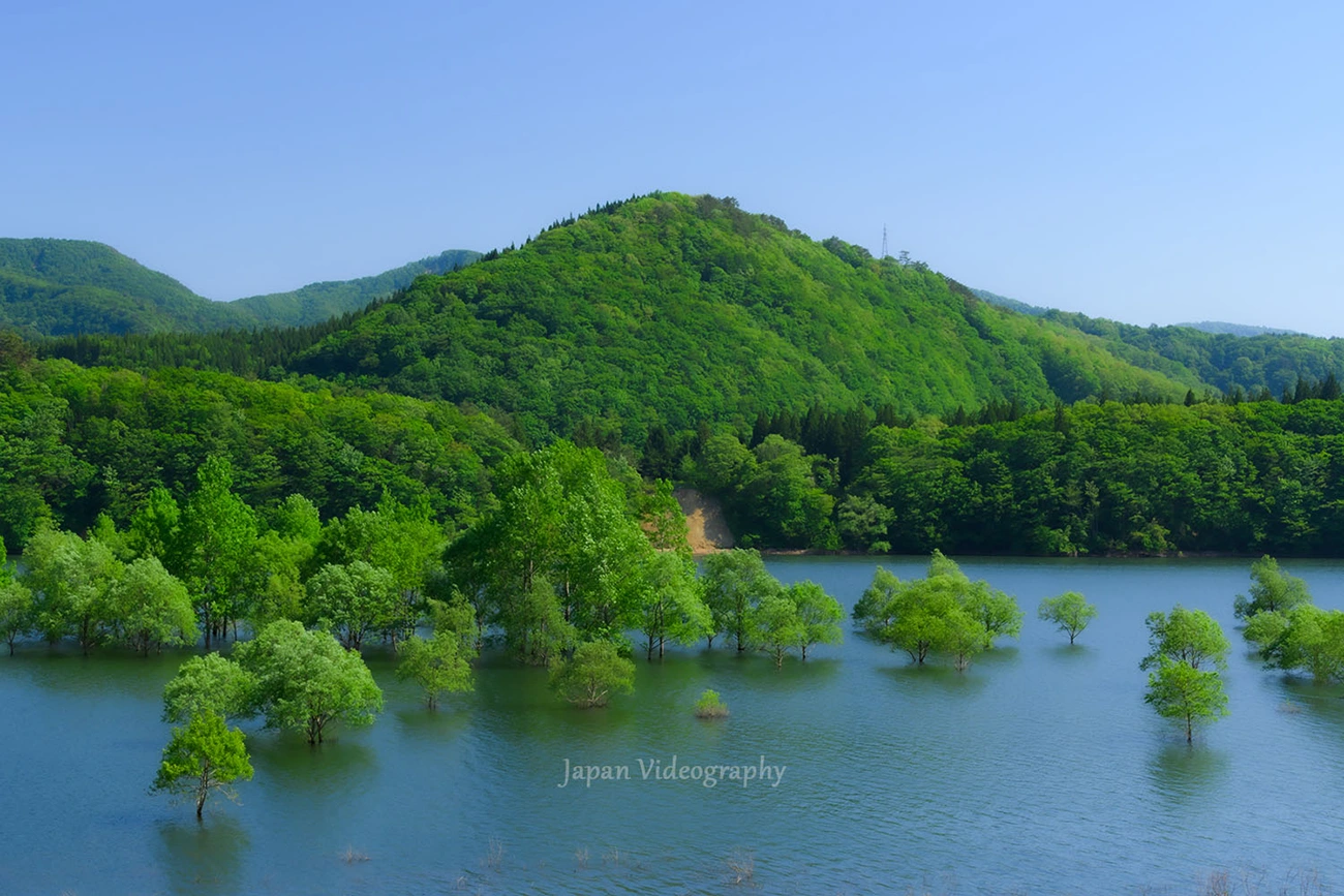 岩手県 新緑が美しい錦秋湖の風景