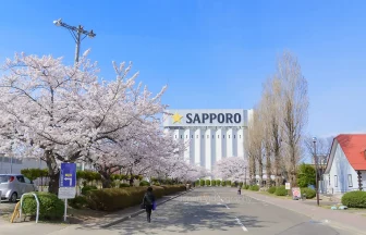 宮城県のお花見スポット サッポロビール仙台工場