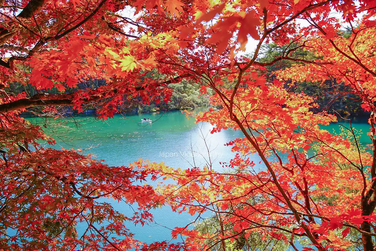 五色沼の風景　紅葉が美しい毘沙門沼