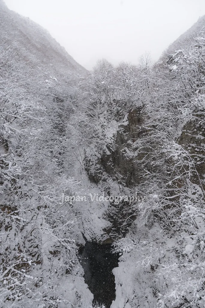 広瀬川の雪景色 鳳鳴四十八滝側