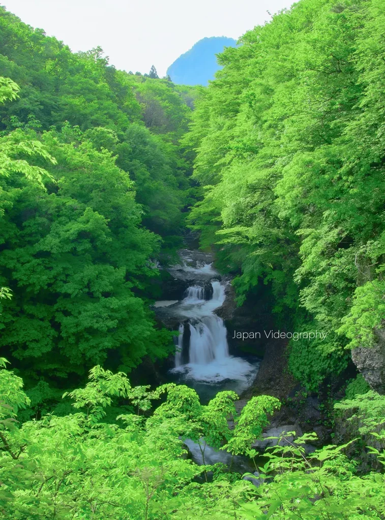 宮城県仙台市 鳳鳴四十八滝と新緑の風景