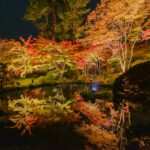 松島・円通院庭園 日本三景の秋を彩る紅葉ライトアップ | 宮城県の観光情報