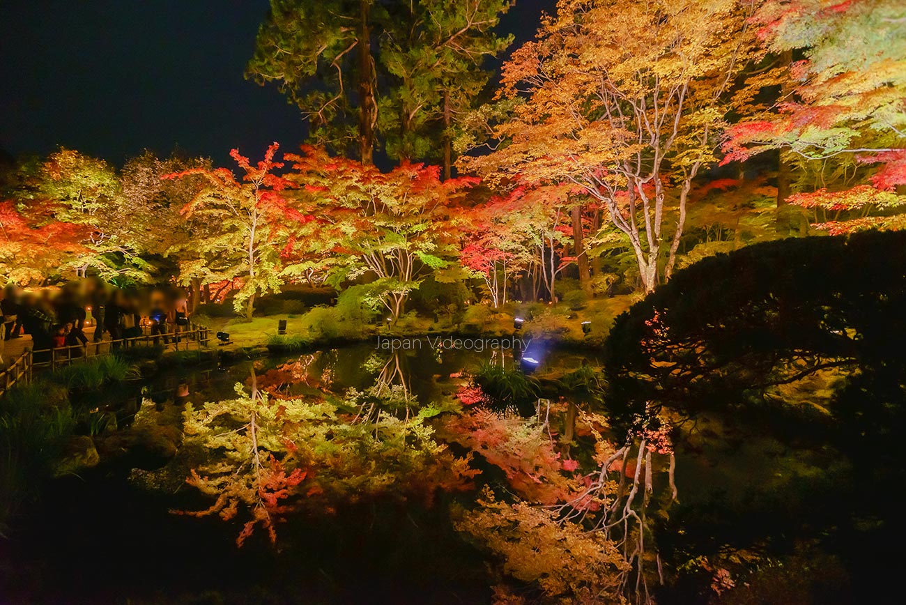 松島・円通院庭園 紅葉ライト 心字の池
