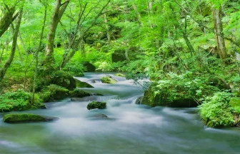 青森県 奥入瀬渓流の風景