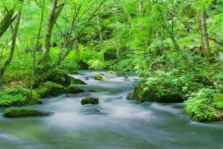 青森県 奥入瀬渓流の風景