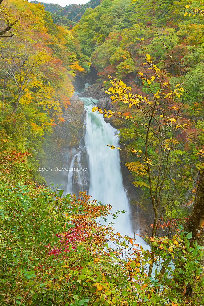 紅葉が美しい秋保大滝の風景
