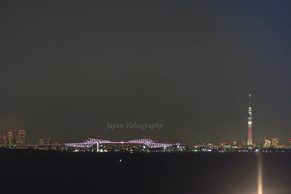 海ほたるPAから眺める夜景 東京スカイツリー