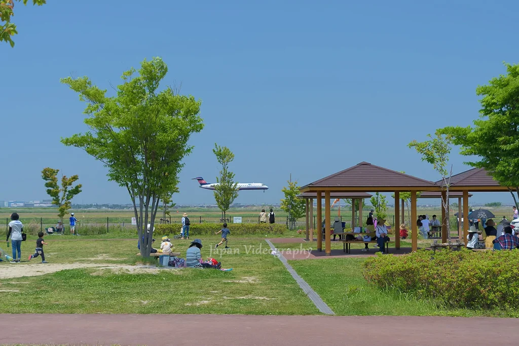仙台空港臨空公園から眺める飛行機の着陸