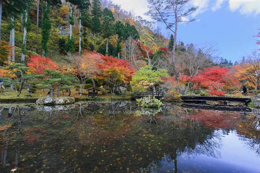 天守閣自然公園 池と紅葉の風景