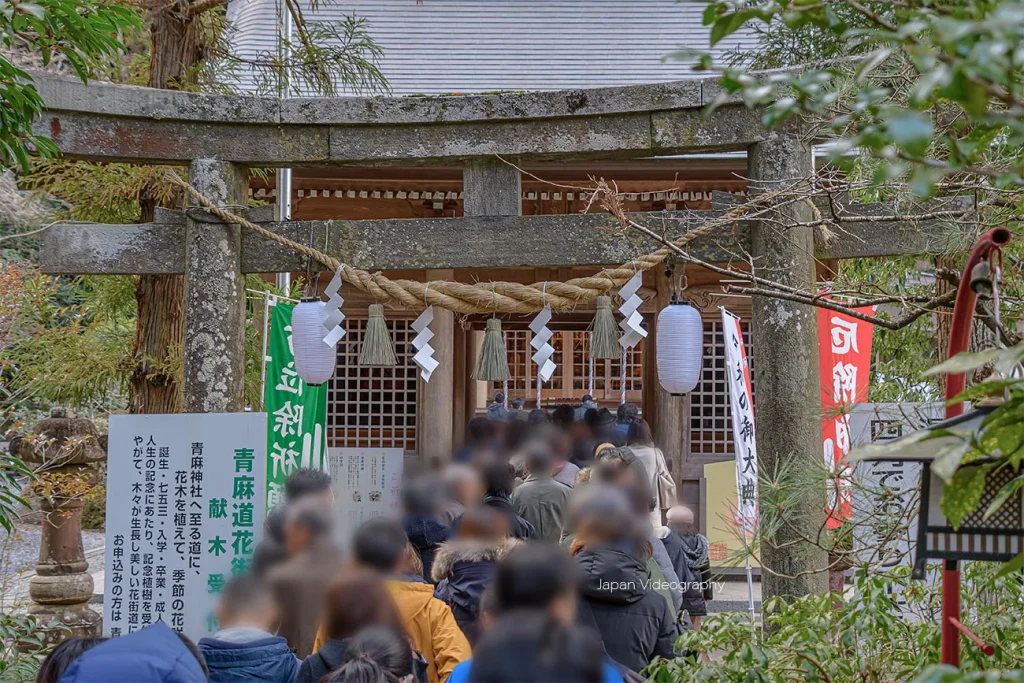 青麻神社の初詣に訪れている人々
