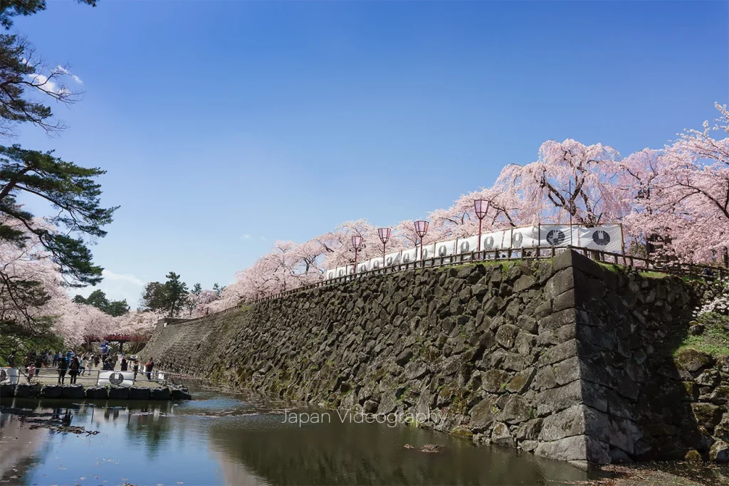 弘前公園の石垣と桜